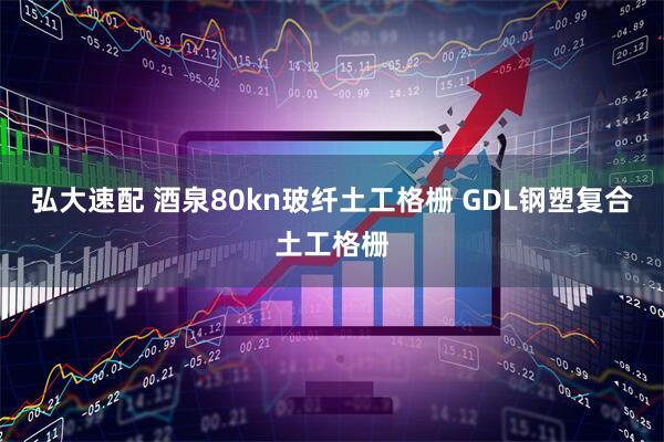 弘大速配 酒泉80kn玻纤土工格栅 GDL钢塑复合土工格栅