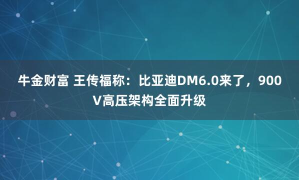 牛金财富 王传福称：比亚迪DM6.0来了，900V高压架构全面升级