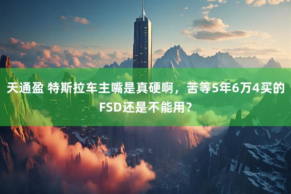 天通盈 特斯拉车主嘴是真硬啊，苦等5年6万4买的FSD还是不能用？