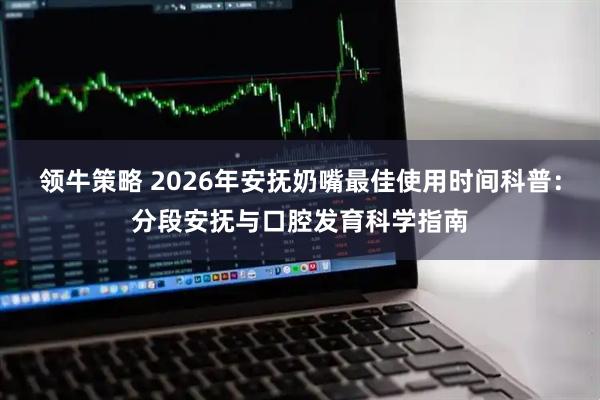 领牛策略 2026年安抚奶嘴最佳使用时间科普：分段安抚与口腔发育科学指南