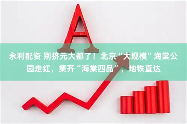 永利配资 别挤元大都了！北京“大规模”海棠公园走红，集齐“海棠四品”，地铁直达