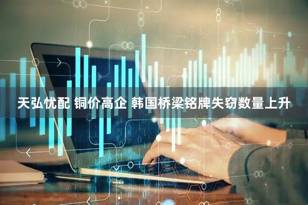 天弘忧配 铜价高企 韩国桥梁铭牌失窃数量上升