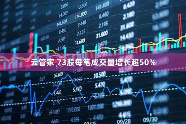 云管家 73股每笔成交量增长超50%