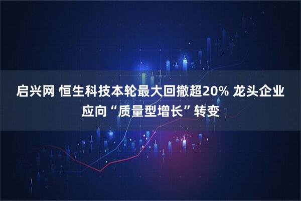 启兴网 恒生科技本轮最大回撤超20% 龙头企业应向“质量型增长”转变
