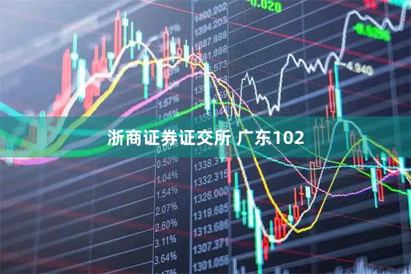 浙商证券证交所 广东102