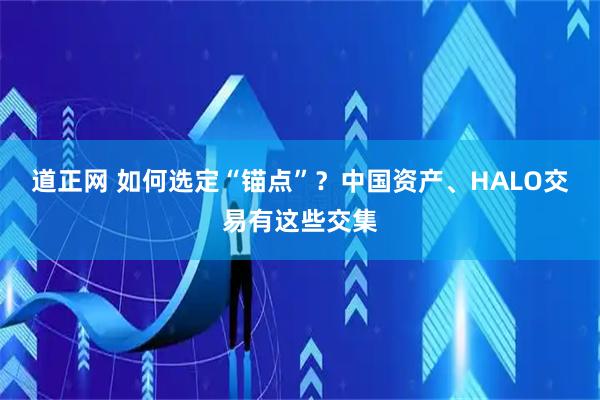 道正网 如何选定“锚点”？中国资产、HALO交易有这些交集