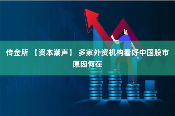 传金所 【资本潮声】 多家外资机构看好中国股市原因何在