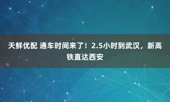 天鲜优配 通车时间来了！2.5小时到武汉，新高铁直达西安